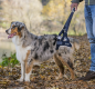 Preview: Tragegeschirr Hunde Balto Up Rear Harness - Hebehilfe für hinten, Tragehilfe, Gehhilfe